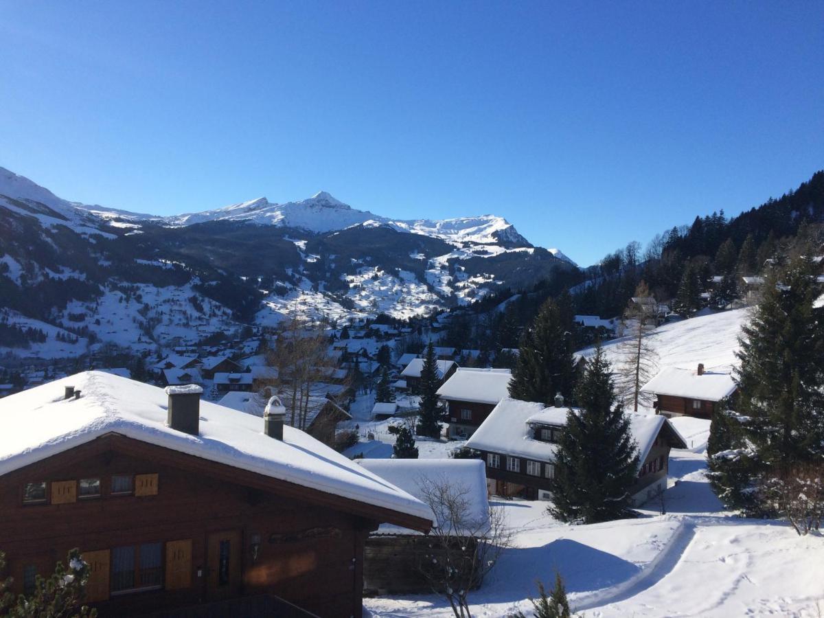 Grindelwald-Sunneblick Apartment Exterior photo